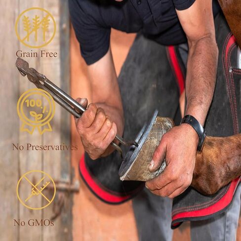 Horse Laminitis Treatment -Natural Herbal Powder Hoof Supplements for Horses with Laminitis, Ideal for Hoof Care & Sore Feet, Back to Pasture-1.1 lb in Kuwait
