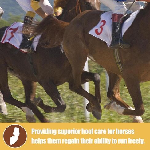 Horse Laminitis Treatment -Natural Herbal Powder Hoof Supplements for Horses with Laminitis, Ideal for Hoof Care & Sore Feet, Back to Pasture-1.1 lb in Kuwait