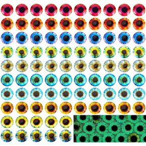PH PandaHall 100pcs Dragon Eyes Glass Cabochon 12mm Luminous Animal Eyes Tiles Dragon Owl Human Pupil Eyes Round Cabochon Eyes for Art Props Halloween Photo Cameo Pendant Jewelry Making 10 Style