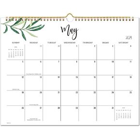 Cabbrix 2024-2025 Wall Calendar, 18 Monthly Wall Calendar Runs from Now to June 2025, Wirebound,15 x 12 Inches