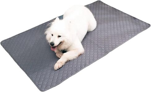 وسادات تبول للكلاب قابلة للغسل، وسادات تبول قابلة لإعادة الاستخدام للكلاب، وسادات تبول غير قابلة للانزلاق وقابلة للغسل، تنطبق على الأريكة، والتدريب على استخدام المرحاض، وقفص اللعب، والقفص، والسفر بالسيارة وما إلى ذلك (35 × 60 بوصة) in Kuwait