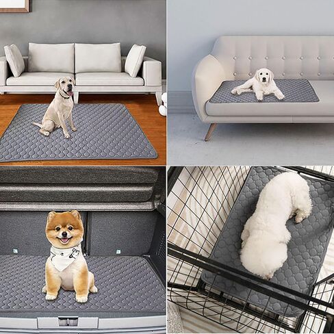 وسادات تبول للكلاب قابلة للغسل، وسادات تبول قابلة لإعادة الاستخدام للكلاب، وسادات تبول غير قابلة للانزلاق وقابلة للغسل، تنطبق على الأريكة، والتدريب على استخدام المرحاض، وقفص اللعب، والقفص، والسفر بالسيارة وما إلى ذلك (35 × 60 بوصة) in Kuwait