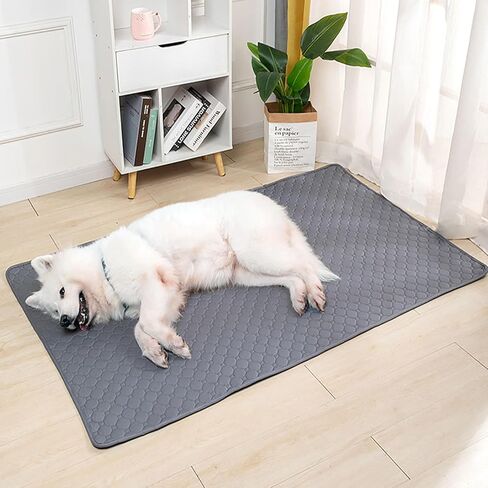 وسادات تبول للكلاب قابلة للغسل، وسادات تبول قابلة لإعادة الاستخدام للكلاب، وسادات تبول غير قابلة للانزلاق وقابلة للغسل، تنطبق على الأريكة، والتدريب على استخدام المرحاض، وقفص اللعب، والقفص، والسفر بالسيارة وما إلى ذلك (35 × 60 بوصة) in Kuwait