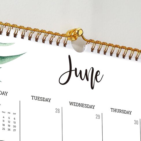 Cabbrix 2024-2025 Wall Calendar, 18 Monthly Wall Calendar Runs from Now to June 2025, Wirebound,15 x 12 Inches in Saudi Arabia