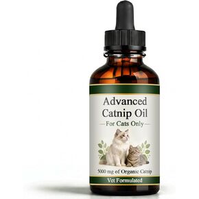 Catnip Oil for Cats, Natural Catnip Extract Liquid Drops, Supports Cat Digestive & Immune Balance, 60ml (1) in Kuwait