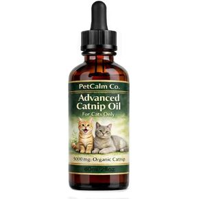 PetCalm Co. Catnip Oil — Daily Wellness for Cats (60 Ml / 2 Fl Oz) in Kuwait