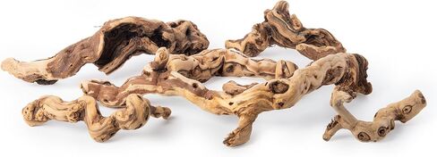 غالاباغوس (05536) جذوع أشجار العنب من Burro Wood - ديكور طبيعي للفروع في مرابي حيوانات قاحلة ومعتدلة | عرض النباتات الهوائية وموائل الخشب والزواحف، مجموعة من 7 قطع متنوعة (3 بوصات - 13 بوصة) in Kuwait