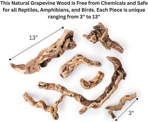 غالاباغوس (05536) جذوع أشجار العنب من Burro Wood - ديكور طبيعي للفروع في مرابي حيوانات قاحلة ومعتدلة | عرض النباتات الهوائية وموائل الخشب والزواحف، مجموعة من 7 قطع متنوعة (3 بوصات - 13 بوصة) in Kuwait
