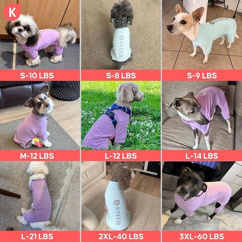 KYEESE UV Protection Dog Shirt, UPF 50+ Cooling Summer Jumpsuit for Small Dogs, Breathable Reflective Shedding Control Dog Sun Shirts, Quick-Dry Dogs Onesie Pet Clothes, Purple, M in Kuwait