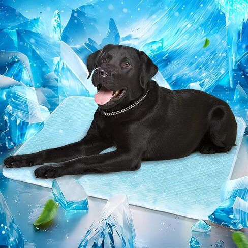 Mora Pets Dog Cooling Mat لحظة التبريد الذاتي وسادة للكلاب والقطط تنفس قابل للغسل الصيف الحيوانات الأليفة حصيرة باردة في الأماكن المغلقة في الهواء الطلق، جرو بطانية باردة لأرضية قفص سيارة السفر استخدام صغير 28 بوصة × 22 بوصة أزرق in Kuwait