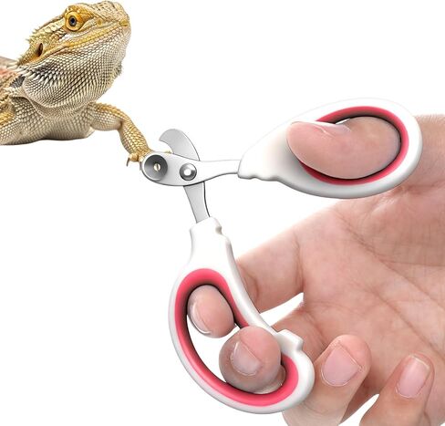 Small Animal Nail Clippers, Stainless Steel Bearded Dragon Nail Clippers, Professional Reptile Grooming Tool with Precise Angled Edge, Cat Nail-Clipper, Claw Trimmer for Birds, Cat, Dogs (Red) in Kuwait