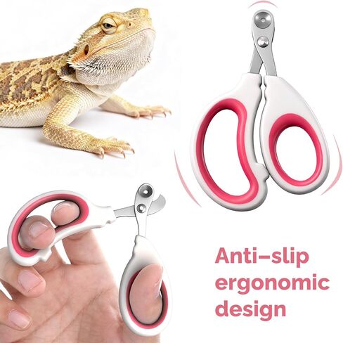 Small Animal Nail Clippers, Stainless Steel Bearded Dragon Nail Clippers, Professional Reptile Grooming Tool with Precise Angled Edge, Cat Nail-Clipper, Claw Trimmer for Birds, Cat, Dogs (Red) in Kuwait