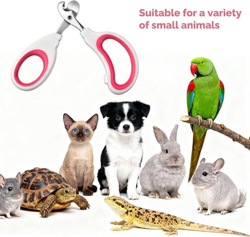 Small Animal Nail Clippers, Stainless Steel Bearded Dragon Nail Clippers, Professional Reptile Grooming Tool with Precise Angled Edge, Cat Nail-Clipper, Claw Trimmer for Birds, Cat, Dogs (Red) in Kuwait