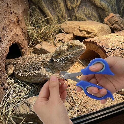 Larrel Bearded Dragon Nail Clippers, Stainless Steel Bearded Dragon Nail Clippers, Small Animal Nail-Clipper for Small Reptiles, Turtle, Chameleon, Iguana, Hedgehog, Birds, Cat, Dog (Blue) in Kuwait