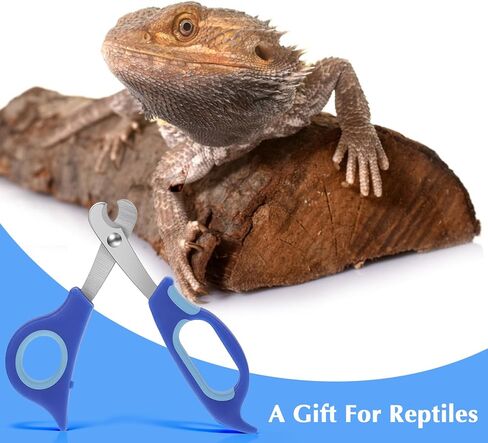 Larrel Bearded Dragon Nail Clippers, Stainless Steel Bearded Dragon Nail Clippers, Small Animal Nail-Clipper for Small Reptiles, Turtle, Chameleon, Iguana, Hedgehog, Birds, Cat, Dog (Blue) in Kuwait
