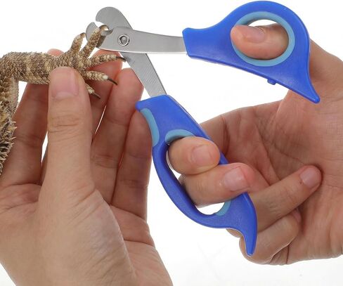 Larrel Bearded Dragon Nail Clippers, Stainless Steel Bearded Dragon Nail Clippers, Small Animal Nail-Clipper for Small Reptiles, Turtle, Chameleon, Iguana, Hedgehog, Birds, Cat, Dog (Blue) in Kuwait