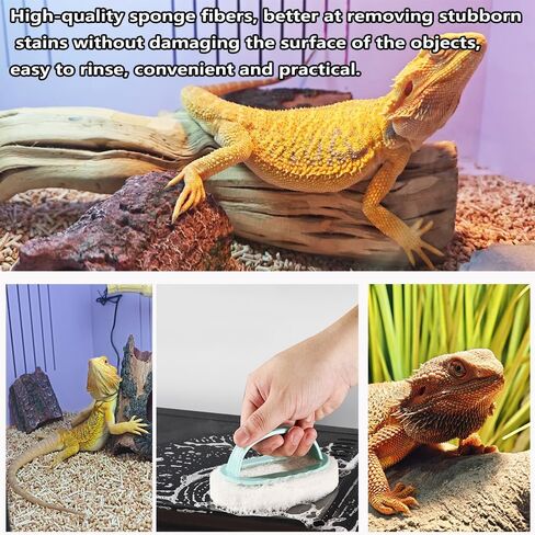6-Piece Bearded Dragon Tank Cleaning Set, Reptile Enclosure Cleaning Tool Set with Bearded Dragon Nail Clippers&Cleaning Cloth, Brush, Scraper & Mini Dustpan for Lizard & Gecko Terrarium Maintenance in Kuwait