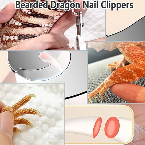 6-Piece Bearded Dragon Tank Cleaning Set, Reptile Enclosure Cleaning Tool Set with Bearded Dragon Nail Clippers&Cleaning Cloth, Brush, Scraper & Mini Dustpan for Lizard & Gecko Terrarium Maintenance in Kuwait