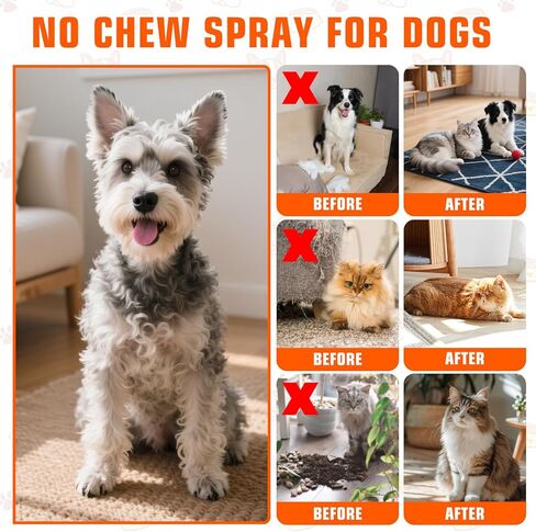 Effectively | Bitter Apple Spray for Dogs, 100ml No Chew Spray for Dogs to Stop Chewing, Preventing Puppies from Damaging Furniture, Dog Training & Behavior Aids Spray, Indoor & Outdoor Use in Kuwait