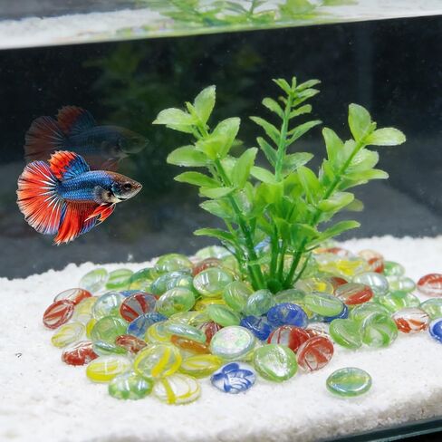 Flat Glass Marbles 1.1 lb - 4 Mixed Color Semi-Translucent Aquarium Gravel, 0.75" Decorative Glass Pebbles for Fish Tank Vase Filler Floral Table Centerpiece, Approx. 100 PCS in Kuwait