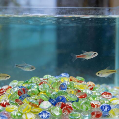 Flat Glass Marbles 1.1 lb - 4 Mixed Color Semi-Translucent Aquarium Gravel, 0.75" Decorative Glass Pebbles for Fish Tank Vase Filler Floral Table Centerpiece, Approx. 100 PCS in Kuwait