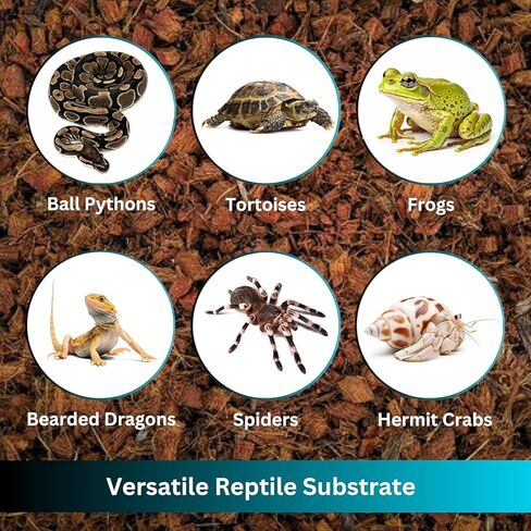 Premium Coconut Chip Substrate for Reptiles – 10 LB Block in Carton Box, Expands to 72 Quarts – Natural & Dust-Free Coco Husk Bedding for Ball Python, Bearded Dragon, Tortoise & Gecko in Kuwait
