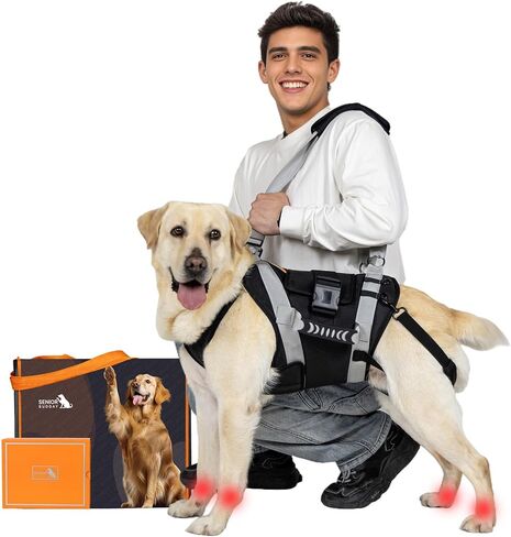 Dog Lift Harness for Large Dogs,Full Body Dog Sling Carrier with Handle,for Up Stair/Back Legs Support/Dogs Joint Injuries/Arthritis (Black, Extra-Large) in Kuwait