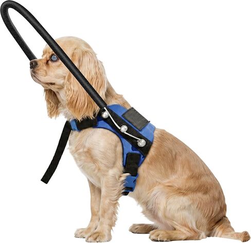 Adjustable Blind Dog Halo Harness, Protective Ring Collar Vest with Breathable Padding for Visually Impaired Dogs & Puppies (M for 21"-28") in Kuwait