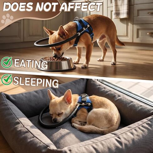 Adjustable Blind Dog Halo Harness, Protective Ring Collar Vest with Breathable Padding for Visually Impaired Dogs & Puppies (M for 21"-28") in Kuwait