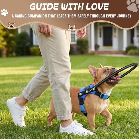 Adjustable Blind Dog Halo Harness, Protective Ring Collar Vest with Breathable Padding for Visually Impaired Dogs & Puppies (M for 21"-28") in Kuwait