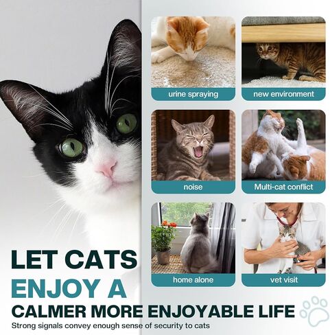 Cat Calming Diffuser 6 in 1 Multicat Calming Pheromones Diffusers Relief Stress Anxiety Fighting Scratching 90 Days Calm Relaxing Pheromone for Cats kit 48ml Refill Fits All Common Diffuser Plug In in Kuwait