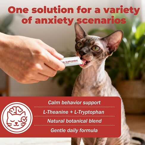 Cat Calming Treats – Natural Stress, Anxiety & Shock Relief for Cats – Featuring L-Theanine, L-Tryptophan & Catnip – 100% Veterinarian Formulated, 30 Likable Gel Tubes for Quick Calm & Relaxation in Kuwait