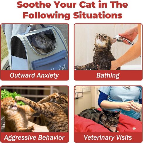 Cat Calming Treats – Natural Stress, Anxiety & Shock Relief for Cats – Featuring L-Theanine, L-Tryptophan & Catnip – 100% Veterinarian Formulated, 30 Likable Gel Tubes for Quick Calm & Relaxation in Kuwait