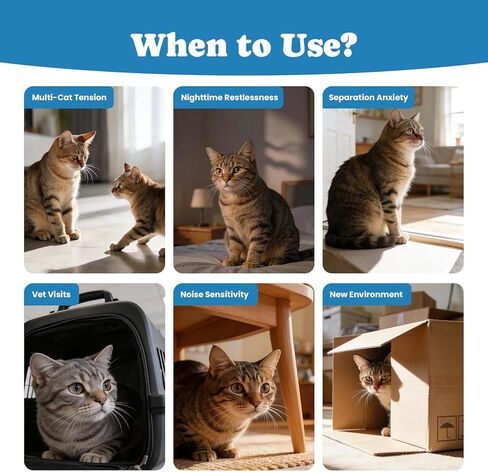 Calming Cat Treats with GABA for Anxiety Relief - Calming Cat Chews Help Reduce Stress & Promote Relaxation, Melatonin for Cats for Grooming, Travel, Vet Visits & Separation Anxiety - Chicken Flavor in Kuwait