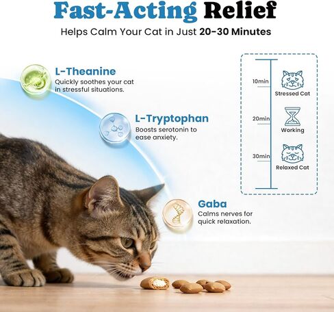 Calming Cat Treats with GABA for Anxiety Relief - Calming Cat Chews Help Reduce Stress & Promote Relaxation, Melatonin for Cats for Grooming, Travel, Vet Visits & Separation Anxiety - Chicken Flavor in Kuwait