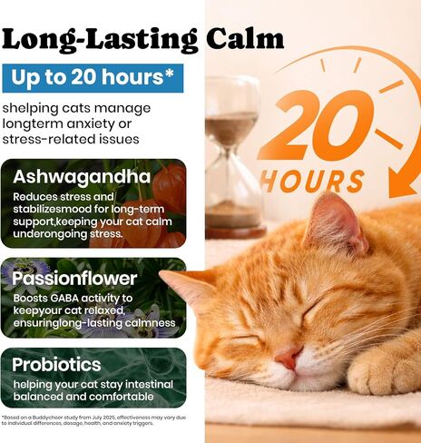 Calming Cat Treats with GABA for Anxiety Relief - Calming Cat Chews Help Reduce Stress & Promote Relaxation, Melatonin for Cats for Grooming, Travel, Vet Visits & Separation Anxiety - Chicken Flavor in Kuwait