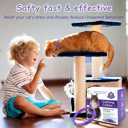 Calming Collar for Cats 4-Pack Cat Calming Collar Adjustable Soother Anxiety Relief Waterproof cat Calming Products 30-Day Stress Relief (Purple) in Kuwait