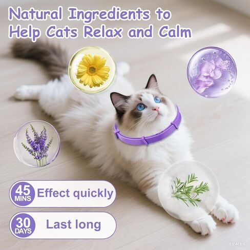 Calming Collar for Cats 4-Pack Cat Calming Collar Adjustable Soother Anxiety Relief Waterproof cat Calming Products 30-Day Stress Relief (Purple) in Kuwait