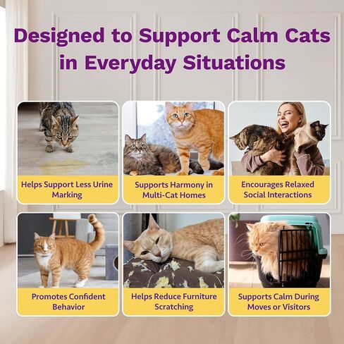 TopSum Cat Calming Pheromone Diffuser: Feline Pheromones Plug in for Stress, Along At Home, Spraying, Fighting, Scratching, Aggression & Excessive Meowing (3 Diffusers + 3 Refills) in Kuwait