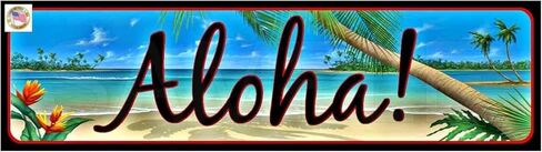 Tiki Bar ALOHA Mini Street Sign 3"x12" Made In USA All Weather Metal. Perfect For Your Man Cave Lounge Beer Pool Hot Tub Happy Hour Island Décor in Kuwait