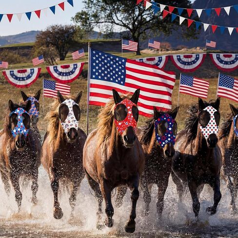 12 Pcs 4th of July Horse Fly Mask with Ears 250th Anniversary Patriotic Fly Mask for Horses Smooth Comfortable Elasticity UV Protection Face Covering for Memorial Day(Large) in Saudi Arabia