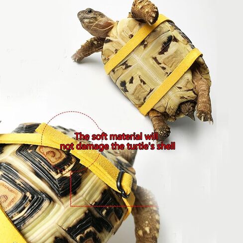 Adjustable Control Rope Turtle Leash and Harness for Small Medium and Large Turtle Pets Outdoor Walking Training (Yellow) in Kuwait
