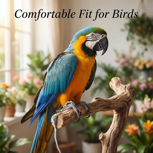 Bird Leash and Parrot Harness with Leg Ring. 2 Sets Elastic Outdoor Training Rope for Parakeet Conure Cockatiel. Anti-Flyaway Flying Equipment for Small Medium Birds in Kuwait