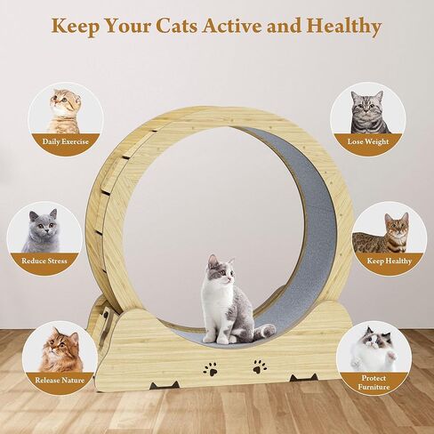 Cat Exercise Wheel, Quiet 34" Cat Treadmill for Indoor Cats, Running Wheel with Carpeted Runway & Safety Lock, Compact Design for Small & Adult Cats Weight Loss & Daily Exercise in Kuwait