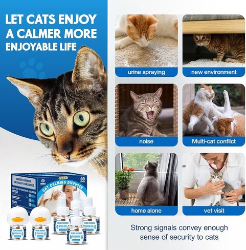 Pheromones التهدئة Cat Diffuser: 3-in-1 Kit Cat Reputing Pheromone Diffuser to to to to to to to to expliens (1 × 2 × 48 مل) للراحة يقلل من قلق الإجهاد ، والفوومون المريح منذ فترة طويلة ل Pet Cat (3in1) in Kuwait