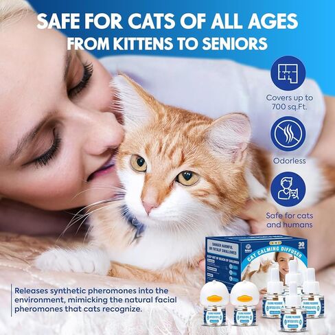 Pheromones التهدئة Cat Diffuser: 3-in-1 Kit Cat Reputing Pheromone Diffuser to to to to to to to to expliens (1 × 2 × 48 مل) للراحة يقلل من قلق الإجهاد ، والفوومون المريح منذ فترة طويلة ل Pet Cat (3in1) in Kuwait