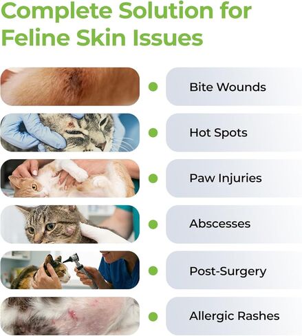 Cat Wound Care Spray Feline Healing Aid, Skin Repair for Cuts, Sores & Abrasions | Itch Relief for Irritated Cat Skin | Hot Spot & Allergy Support | Safe & Non-Toxic | 3.38 fl oz in Kuwait