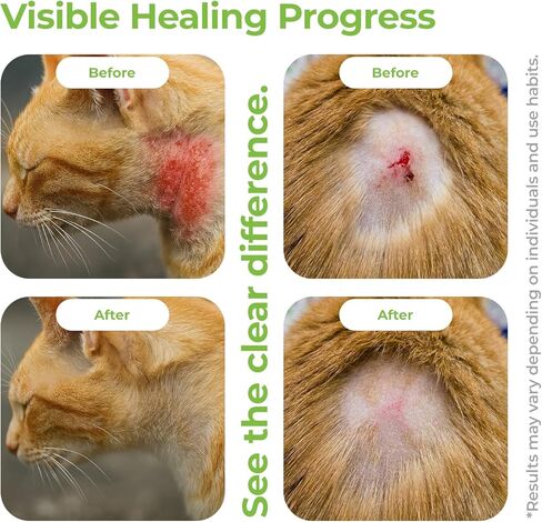 Cat Wound Care Spray Feline Healing Aid, Skin Repair for Cuts, Sores & Abrasions | Itch Relief for Irritated Cat Skin | Hot Spot & Allergy Support | Safe & Non-Toxic | 3.38 fl oz in Kuwait