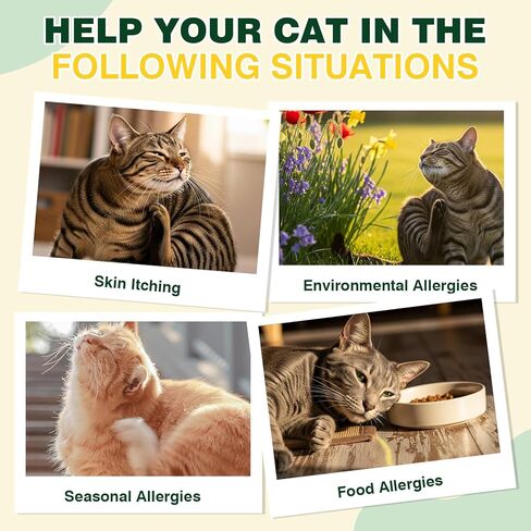 Cat Allergy Relief for Cats, 150 Soft Chews for Cat Itch and Allergy Relief with Omega-3 and Probiotics Coat Health, Immune Boost and Seasonal Allergies Chicken Flavor Chews in Kuwait