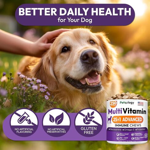 25-in-1 Dog Vitamins and Supplements - 250 Chews Dog Multivitamin Chewable with Glucosamine, Probiotics Omega 3 for Dogs Skin & Coat Hip & Joint Gut Brain Immune Support - Senior & Puppy Multivitamin in Kuwait